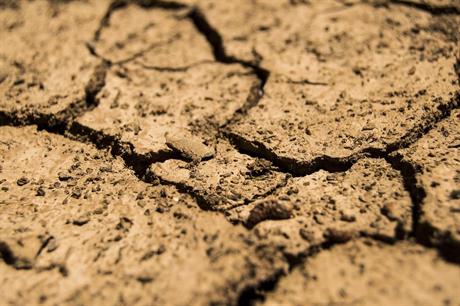 Government £65m drought 'package' aims to help growers